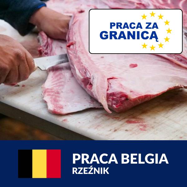 Rzeźnik Belgia PzG