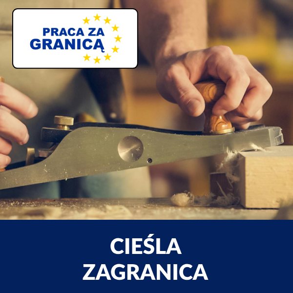 Cieśla szalunkowy praca za granicą