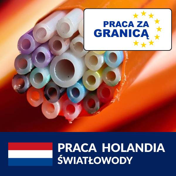 Praca światłowody Holandia PzG