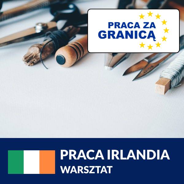 Warsztat Irlandia praca PzG