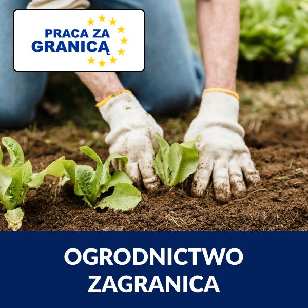 Praca ogrodnik za granicą