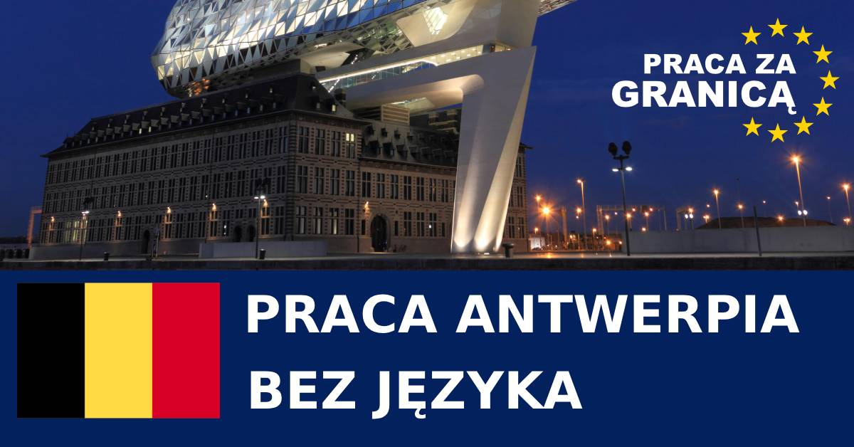 Praca Antwerpia bez języka