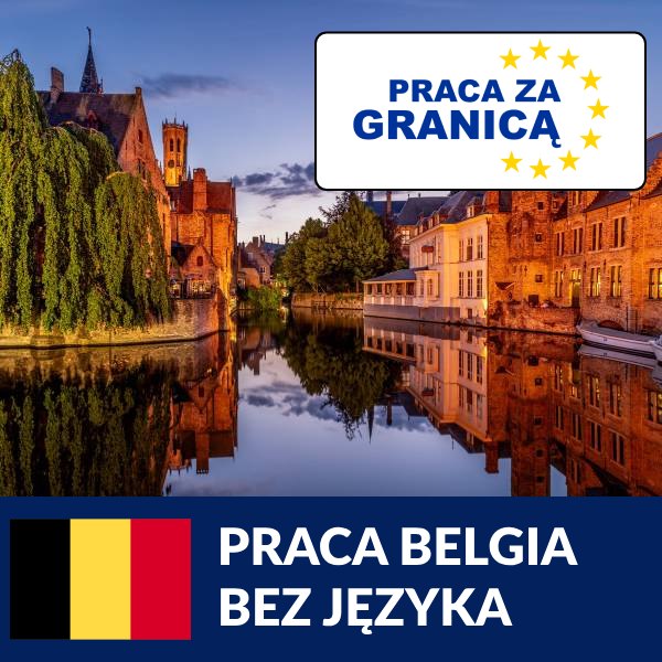 Praca Belgia bez języka