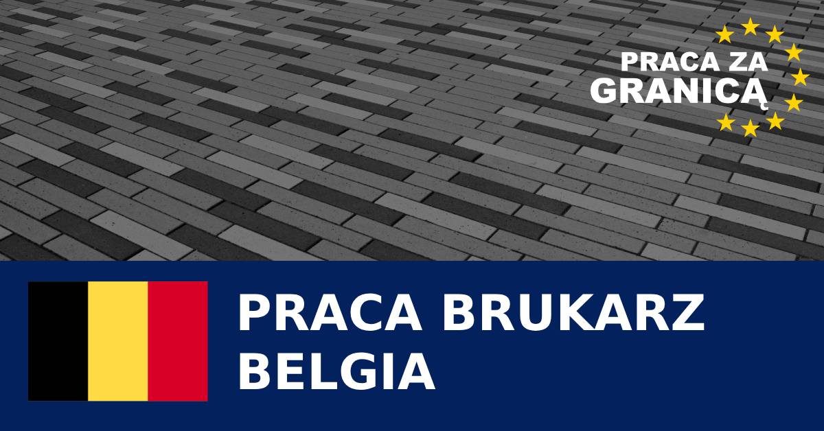 Praca brukarz Belgia