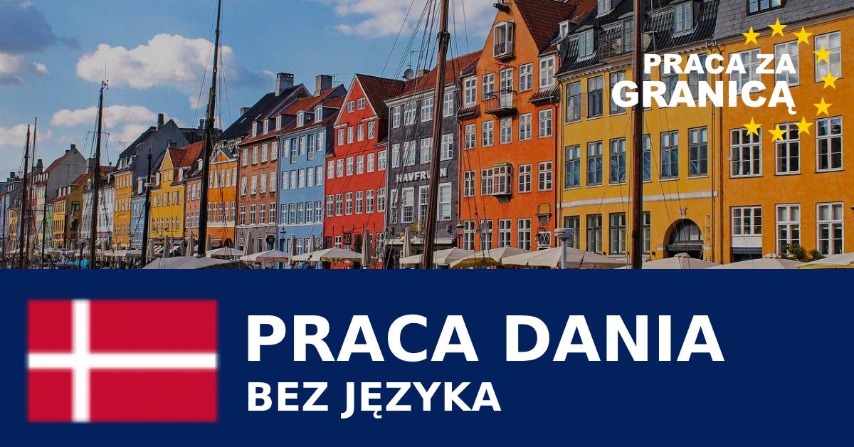 Praca w Danii bez języka