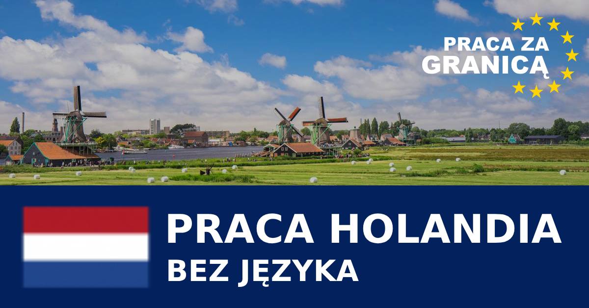 Praca Holandia bez języka