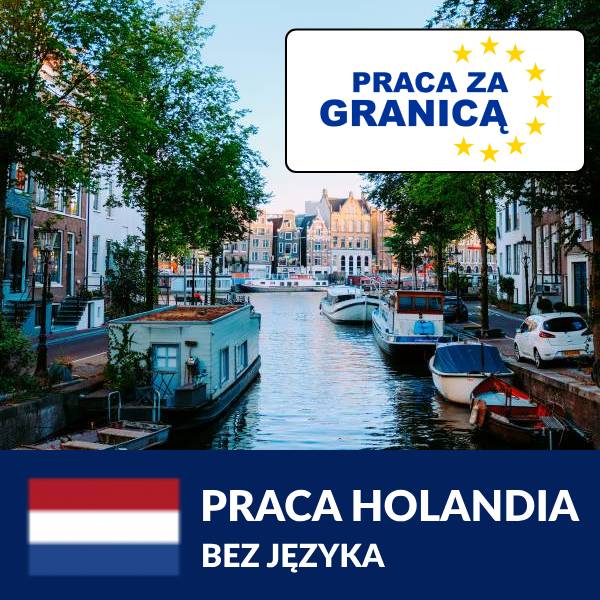 Praca w Holandii bez języka