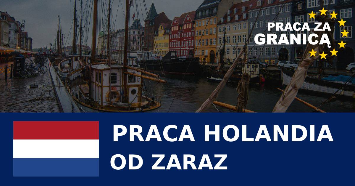 Praca Holandia od zaraz