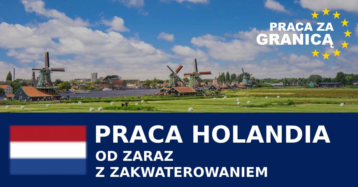 Praca Holandia od zaraz z zakwaterowaniem