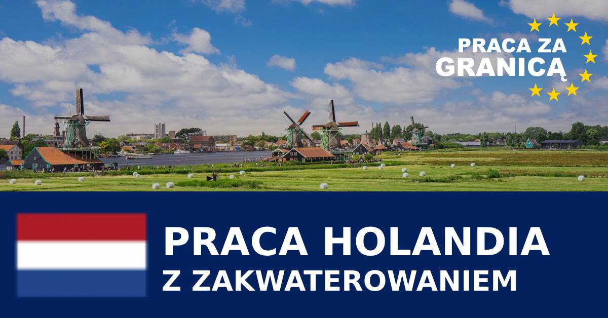 Praca Holandia z zakwaterowaniem