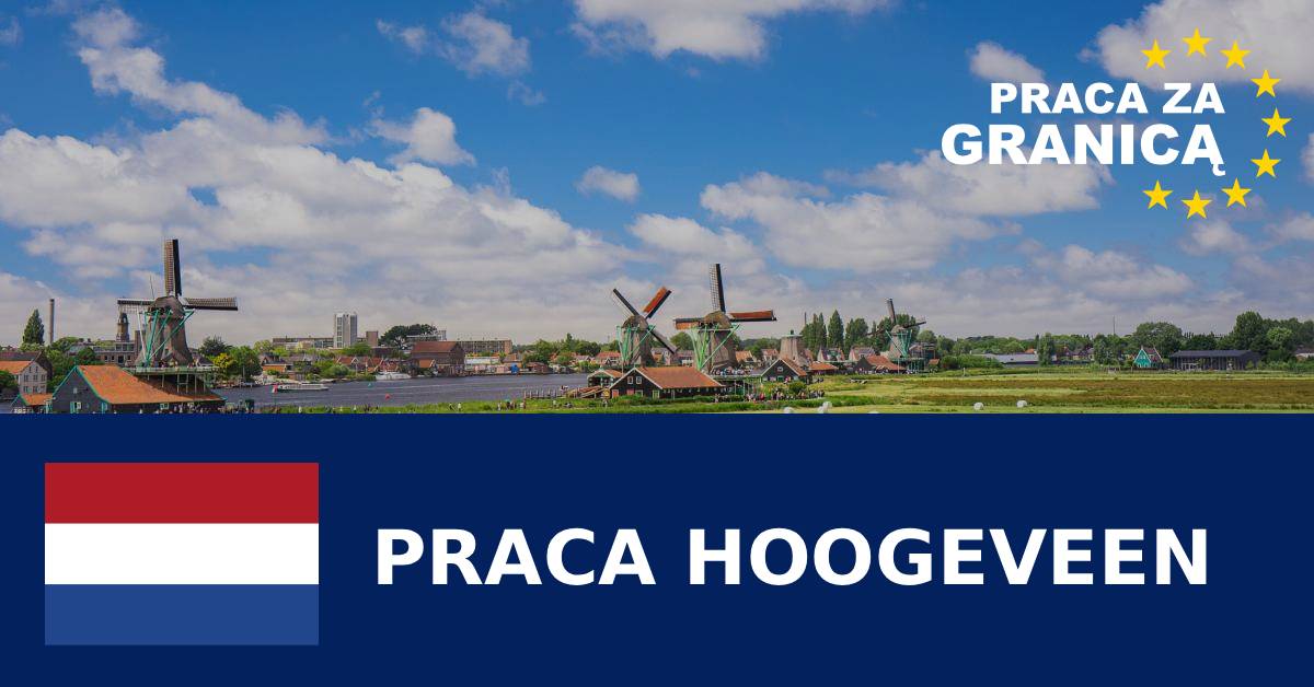 Praca w Hoogeveen Holandia PzG