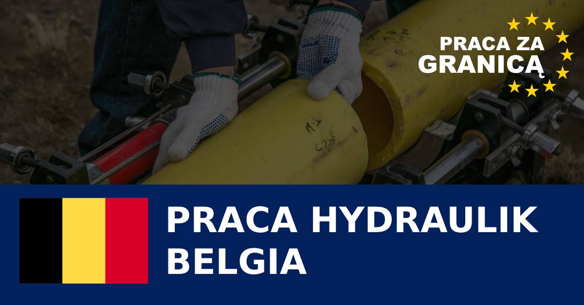 Praca hydraulik Belgia