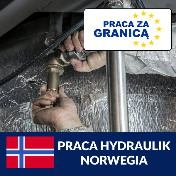 Praca hydraulik Norwegia PzG