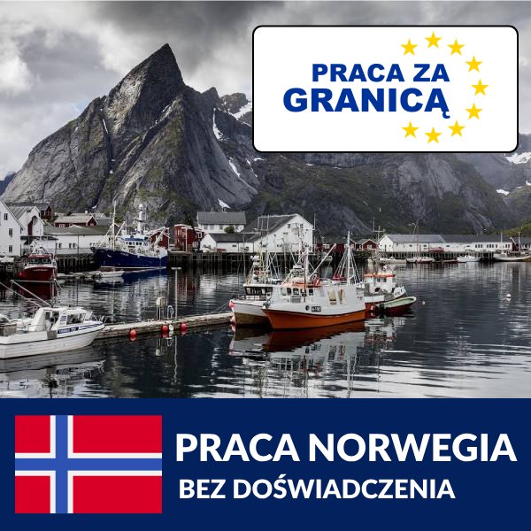 Praca Norwegia bez doświadczenia