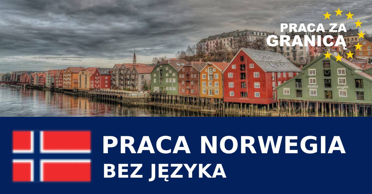 Praca w Norwegii bez języka