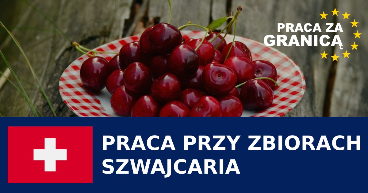 Praca przy zbiorach Szwajcaria