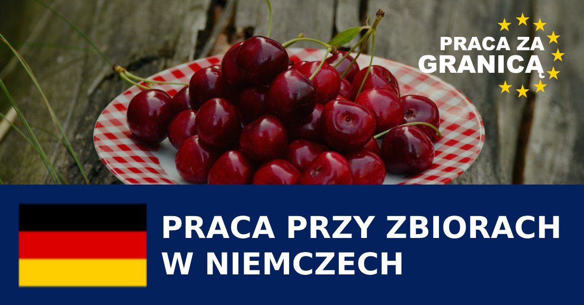 Praca przy zbiorach Niemcy