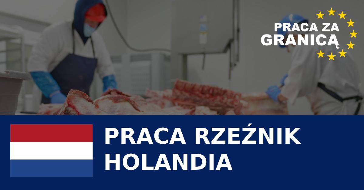 Praca Holandia rzeźnik