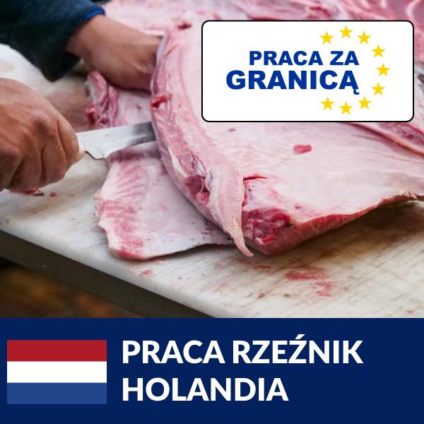 Praca rzeźnik Holandia