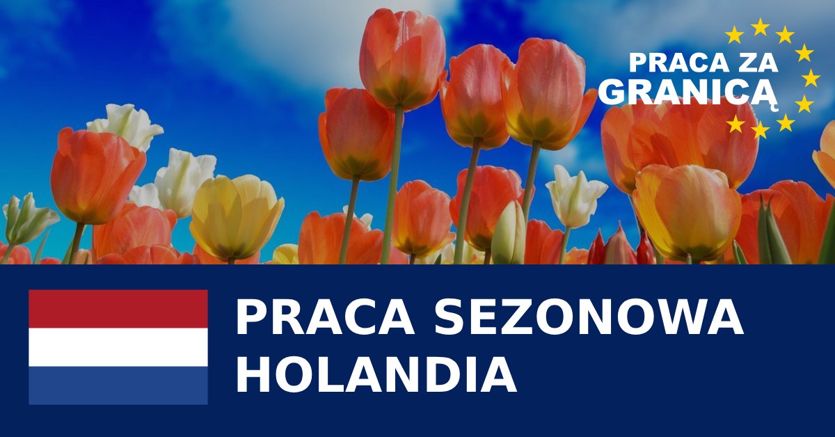 Sezonowa praca Holandia