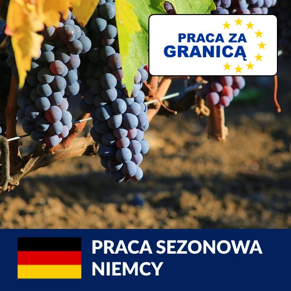 Niemcy praca sezonowa