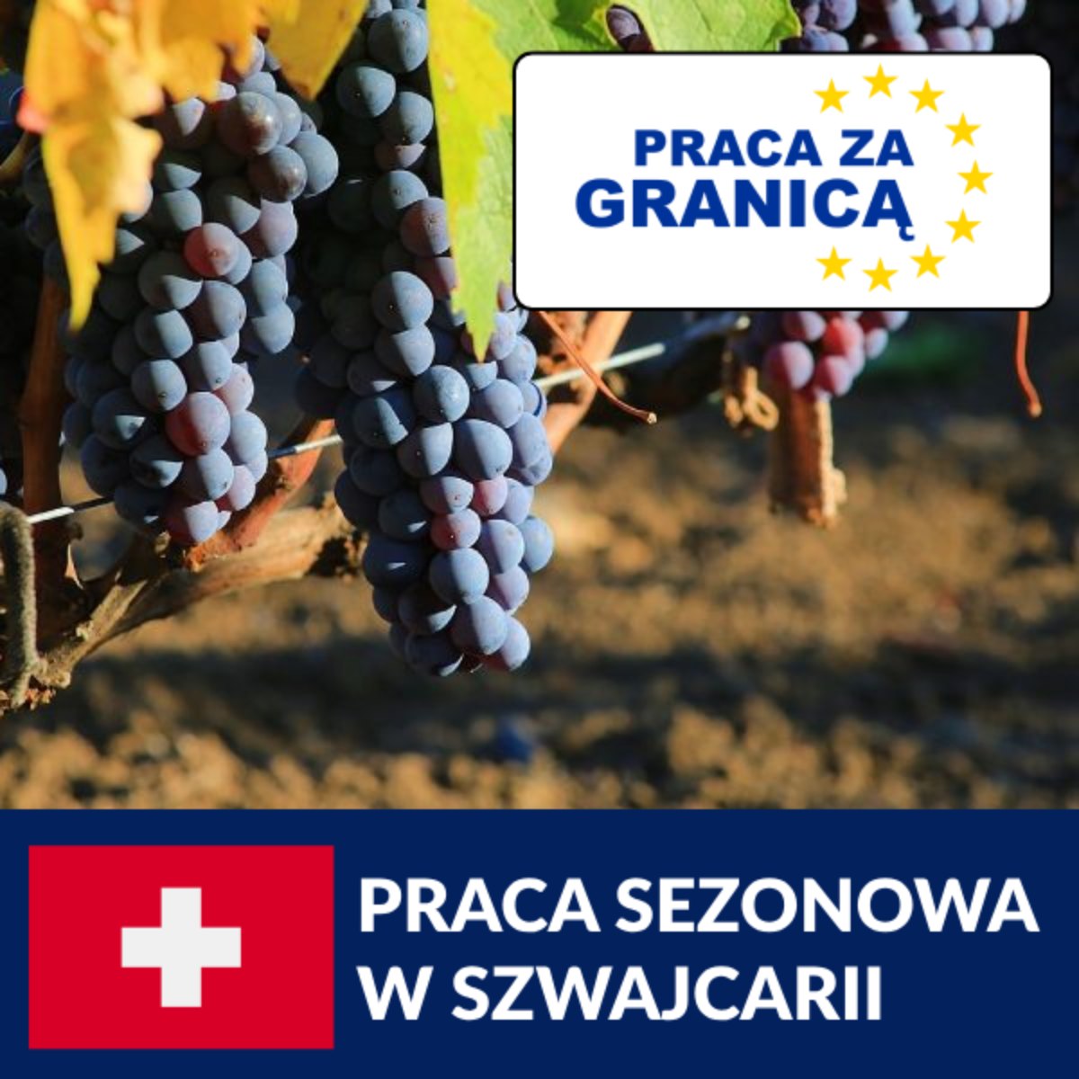 Praca sezonowa w Szwajcarii