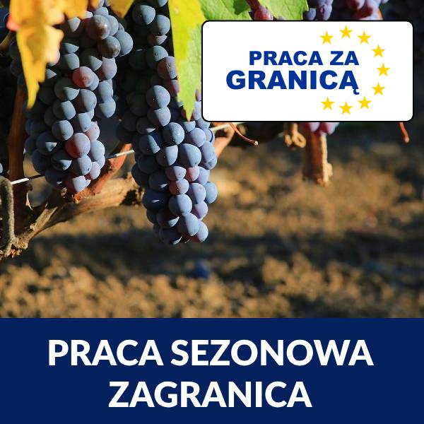 Praca sezonowa za granicą