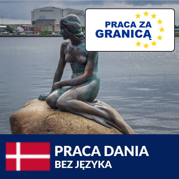 Praca Dania bez języka