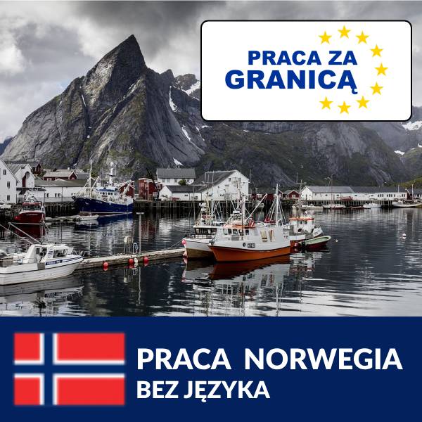 Praca Norwegia bez języka