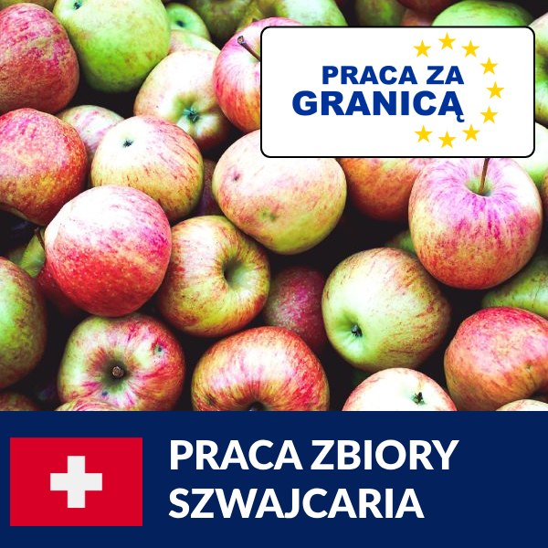 Praca sezonowa zbiory Szwajcaria